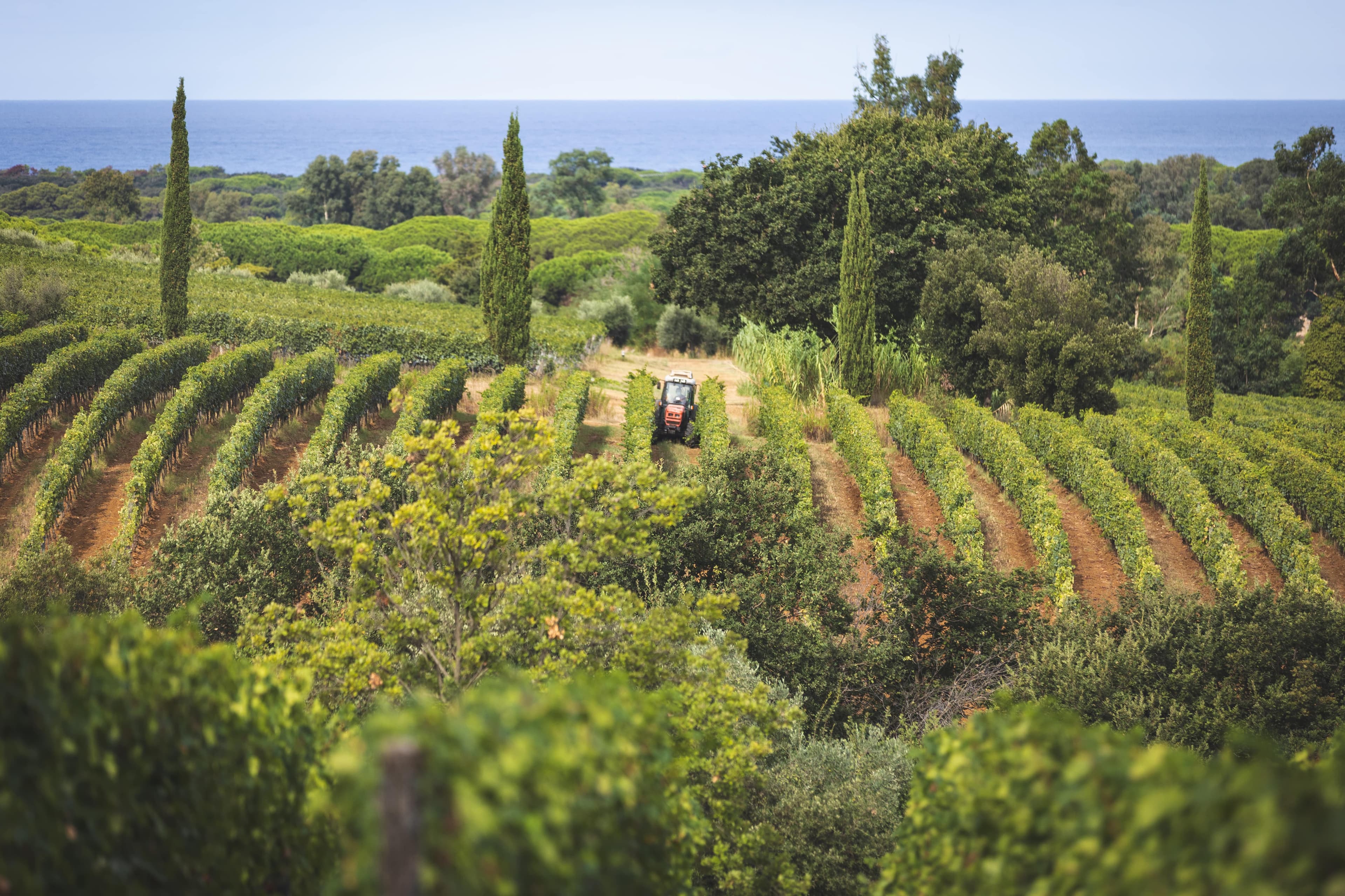 Tenuta Fratini